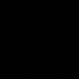 Meet your Posher, Juliana